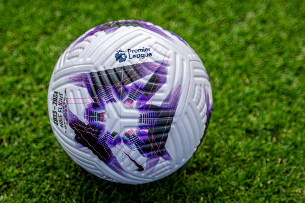 早期人类的 早期人类的