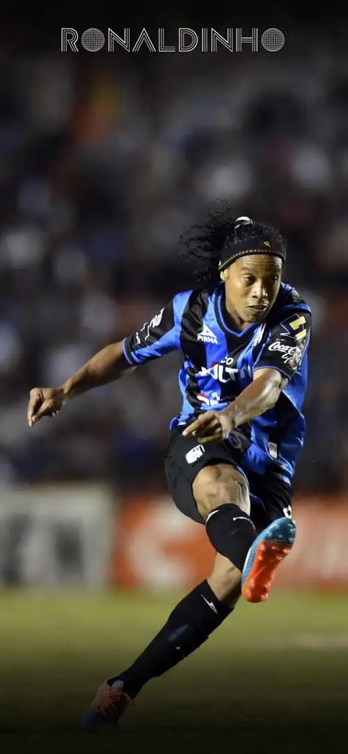 提供了多个 提供了多个